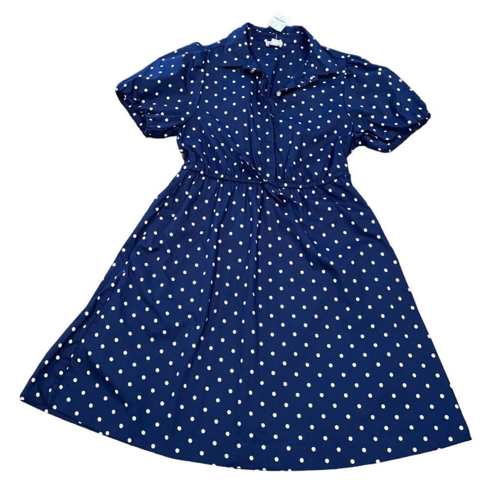 J.Crew Factory Sz 4 Navy Polka Dot Short-Sleeve Collared Mini Dress BT113